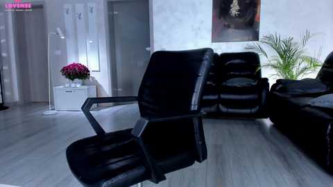Media: Video of a modern living room with a black leather recliner chair facing a black leather sofa, surrounded by white walls and a large potted plant, minimalist decor, and a pink floral arrangement on a white table.