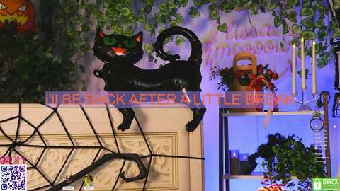 Video of a Halloween-themed room with a black cat statue, spider web decoration, and a framed \"Happy Halloween\" sign.