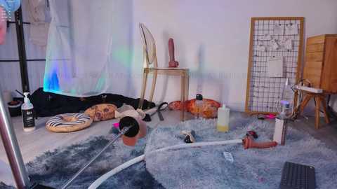 A messy room with a white wall, scattered furniture, a rug, a chair, a birdcage, a window, and various objects like a vacuum cleaner, a spray bottle, and a wooden frame.