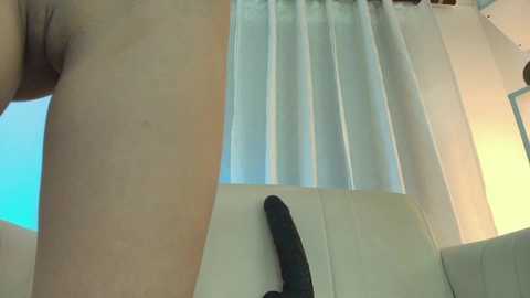 Media: A close-up video of a nude, fair-skinned woman's upper thigh and buttock, featuring a large, dark-colored dildo partially inserted. The background shows a white curtain and a blue sky through a window.