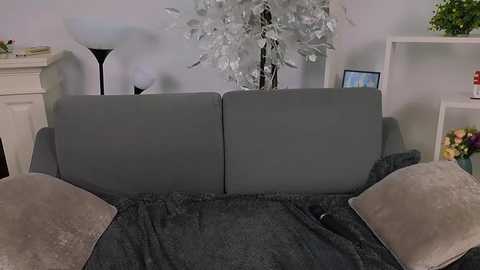 Video of a modern living room featuring a grey sofa with a plush grey throw, a white floor lamp, a white bookshelf with a framed photo, and a white vase with artificial white leaves on a light grey wall.