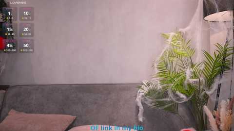 Media: Video of a cozy, modern living room with a grey sofa, potted plants, and a digital overlay showing temperature and humidity levels.