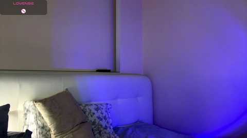 Video of a dimly lit, minimalist bedroom corner with a beige headboard, a white wall, a floral-patterned pillow, and a black object on the bed.