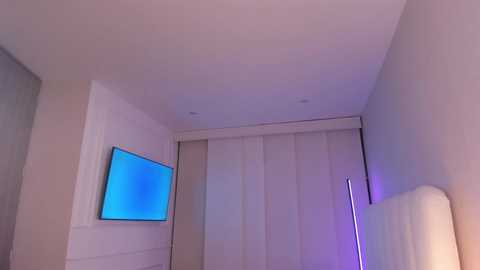 Media: A video of a minimalist bedroom with a white wall, a large flat-screen TV displaying a blue screen, and vertical blinds covering a window. A standing lamp with a purple light casts a soft glow on the right side.