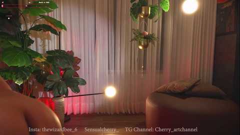 Media: Video of a cozy, dimly lit room with beige curtains, potted plants, a brown leather chair, and a bed with a plush pillow.