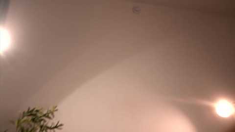 Video of a dimly lit, beige ceiling with soft, warm lighting from two sources in the corners, creating a gentle glow. A small plant with green leaves is partially visible in the bottom left corner.