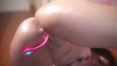 Media: A close-up video shows a light-skinned woman's bare buttocks and genitals, with a pink, curved vibrator inserted into her anus. The background is blurred, featuring a wooden floor and partially visible person.