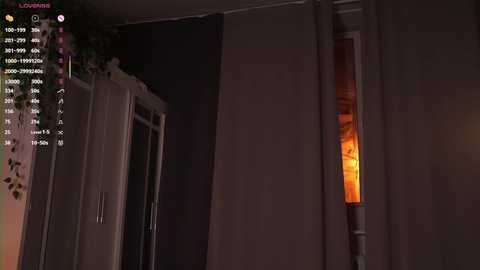 A video captures a dimly lit room with a window partially obscured by a beige curtain. The window reveals a warm, glowing light from outside, contrasting with the dark, shadowy interior. A video chat window shows a person in the upper left corner.