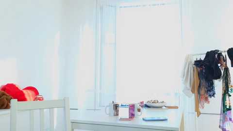 Video of a minimalist, bright room with a white bed, red blanket, white window, and clothes hanging on a rack; clean and organized.