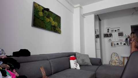 Video of a modern living room with a gray sectional sofa, colorful throw pillows, a vibrant landscape mural, and a person partially visible in the background.