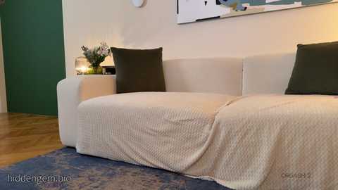 A video of a modern living room with a beige sofa, textured blanket, dark pillows, green wall, abstract art, wooden floor, and a blue rug.