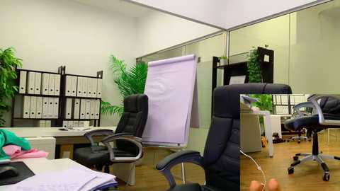 Media: Video of a modern, well-lit office with a white wall, black chairs, a large whiteboard, and a wooden desk with greenery, featuring organized binders and a computer.