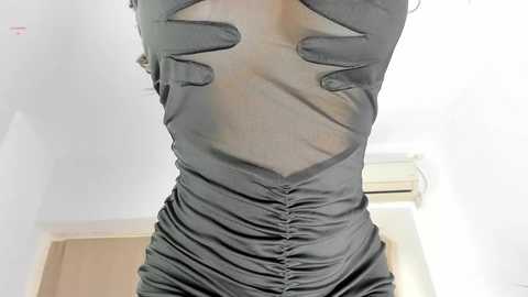 Video of a person wearing a sheer black dress with a ruched bodice, revealing a bra underneath, standing in a white-walled room with a wooden door and white molding in the background.