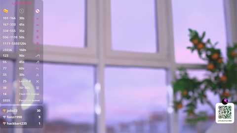 Media: A blurry video shows a window with soft purple twilight hues outside, a green plant with orange fruits, and a digital camera's settings screen on the left.