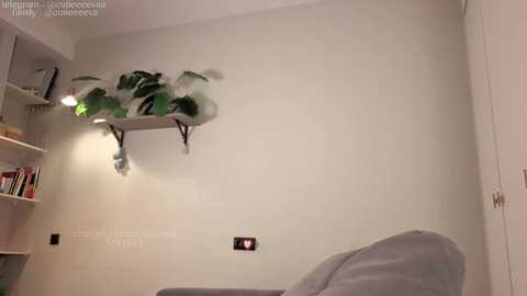 Media: Video of a minimalist bedroom with off-white walls, a green potted plant on a shelf, a beige armchair, and a bookshelf with books and a lamp.
