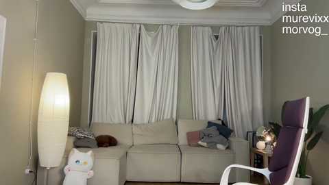 Video of a cozy living room with beige sectional sofa, white curtains, and a large white floor lamp. A plush grey cat sits on the sofa.