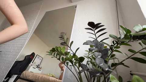 Video of a person with fair skin, wearing a grey shirt and beige pants, sitting on a bed with a white headboard, surrounded by lush indoor plants, including a large fern, against a white wall with a mirror.