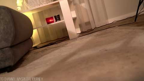 Media: Video of a beige carpeted room with a gray chair, white shelving unit, and a red light, showing a cozy, indoor setting.