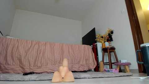 Media: A video of a minimalistic, cluttered bedroom with a pink bedspread, a wooden table with vases, and a large, beige dildo-shaped object on the floor.