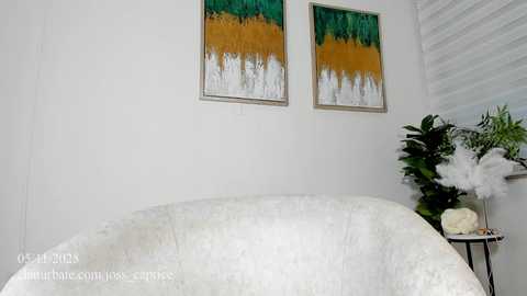 Video of a minimalist, modern bedroom with white walls, featuring two abstract paintings with green and gold vertical stripes, a white fluffy sofa, a white vase with white flowers, and a silver-framed mirror.