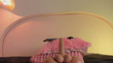 A blurry video shows a person holding a pink and white checkered cloth, possibly a handkerchief, in front of a beige wall. The setting appears to be a dimly lit room with a soft, yellowish glow.