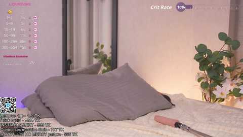 A video of a cozy bedroom with a grey pillow on a white bedspread, a potted plant, and a makeup brush on the floor, with a livestream overlay showing chat messages and a viewer count.