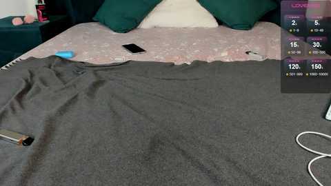 A video of a messy bedroom with a bed covered in dark gray fabric, a black phone, and a green pillow on a pink-patterned bedspread.