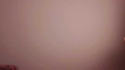 Media: A video of a pale pink wall with a faint, indistinct shadow or stain near the bottom left corner. The image has a soft, blurred texture, suggesting it may be taken with a low-resolution camera or in low light.