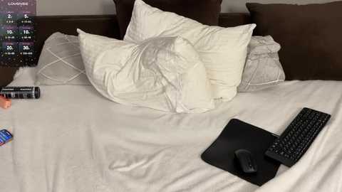 A video of a bed with white pillows, a black mouse, and a black keyboard on a white bedspread, set against a dark brown headboard and light gray walls.