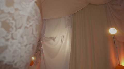Video of a softly lit wedding tent with white drapes, floral details, and a glowing lantern, exuding an elegant and romantic ambiance.