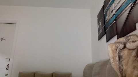 Media: Video of a beige couch with a fluffy dog, a white wall, and a framed abstract painting featuring blue and black colors.