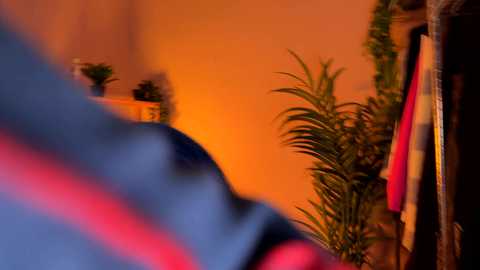 Video of a warmly lit room with a blurry figure in the foreground, wearing a red and blue striped shirt. Plants and a fireplace are visible in the background, creating a cozy atmosphere.