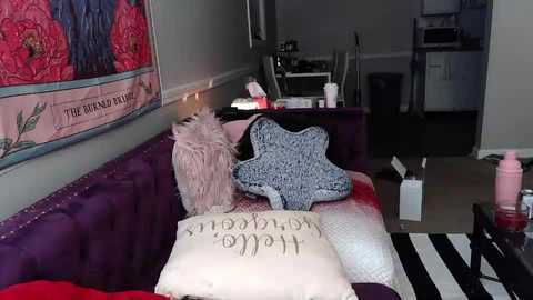 Video of a cozy living room with a purple couch, floral artwork, a fluffy pink pillow, a white pillow with black text, and a blue star-shaped blanket, surrounded by a cluttered workspace with a printer and a pink water bottle.