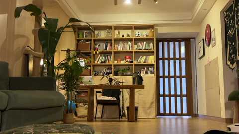 Video of a cozy, well-lit living room with a wooden bookshelf, green sofa, large plant, and open wooden door; warm, inviting atmosphere.