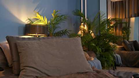 Video of a cozy living room with a beige cushion on a sofa, green plants, and a lamp emitting warm light against blue walls.