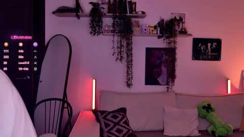 Video of a dimly-lit, modern living room with a large, floor-standing mirror, green plush toy, white couch, shelves with plants, and framed posters on white walls.