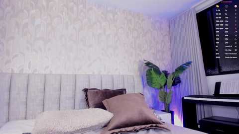 Media: Video of a modern bedroom with a light gray upholstered headboard, brown pillows, beige curtains, a green plant, and a TV displaying a digital clock on the right.