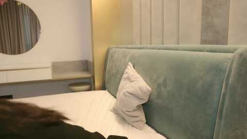 Video of a modern, minimalist bedroom featuring a plush, light teal upholstered headboard with a white pillow, against a wall with vertical white and gray paneling. A round mirror hangs above a white shelf, and a dark furry object is visible on the bed.
