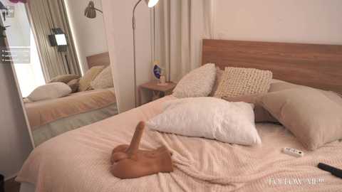 A video of a modern bedroom with a wooden headboard, beige bedding, and a large mirror reflecting the bed and a naked person holding a dildo.