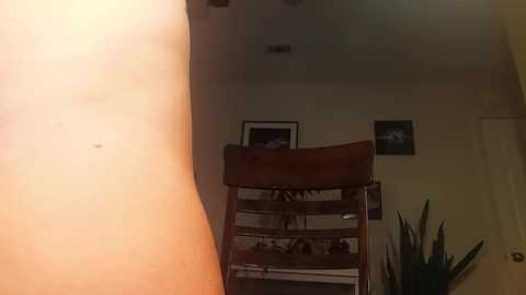 Video of a dimly lit room with a wooden chair, beige walls, a small framed photo, and a potted plant in the corner.