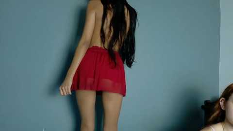 Video of a slender woman with long, wavy brown hair, wearing a sheer red skirt, standing against a pale blue wall, while a partially visible person in a white top looks up at her.