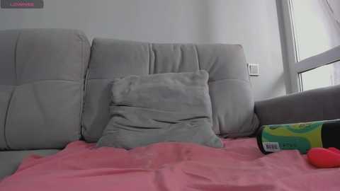 Video of a minimalist living room with a gray sofa, a light gray pillow, and a pink blanket, with a colorful box of tissues on the side.