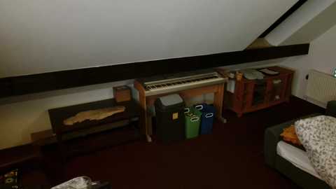 Video of a dimly lit attic room with a sloped ceiling. A wooden bunk bed, two green trash bins, a radiator, and a small wooden cabinet are visible.