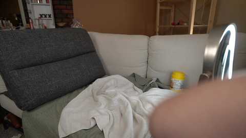Video of a cozy, cluttered living room featuring a gray cushion, white couch, yellow container, and a person\u2019s hand. Background includes shelves, books, and a wooden ladder.