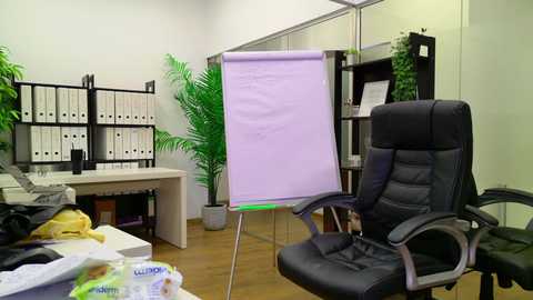Video of a modern office with a black leather chair, a large whiteboard, green potted plants, white binders, and a wooden desk, suggesting a professional, organized setting.