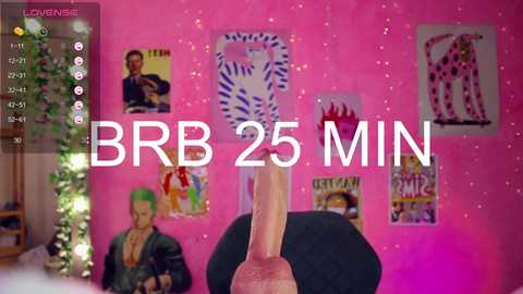 A video of a man's erect penis, seen from the back, with a pink background and colorful posters, overlaid with text \"BBR 25 MIN.\