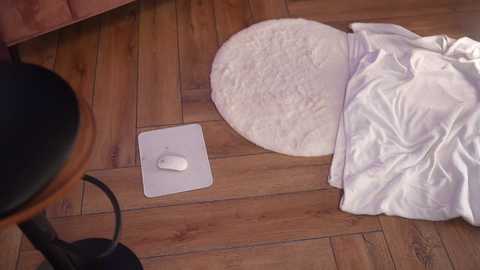 Media: Video of a wooden floor with a white mouse pad, a white cloth, and a black lamp shade.