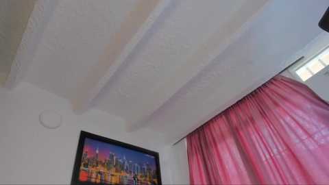 Video of a ceiling with textured white plaster and a single light fixture. Below, a framed cityscape painting hangs against a white wall, and a window with sheer pink curtains lets in soft natural light.