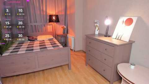 Video of a modern, cozy bedroom with a gray wooden bed, plaid blanket, side table, lamp, and a dresser with a mirror and art.