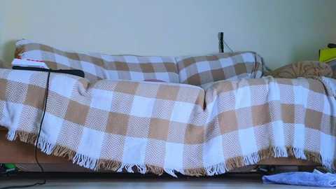 Video of a beige sofa covered with a brown and white plaid blanket, set against a light green wall. A black bag and a yellow object are visible in the background.